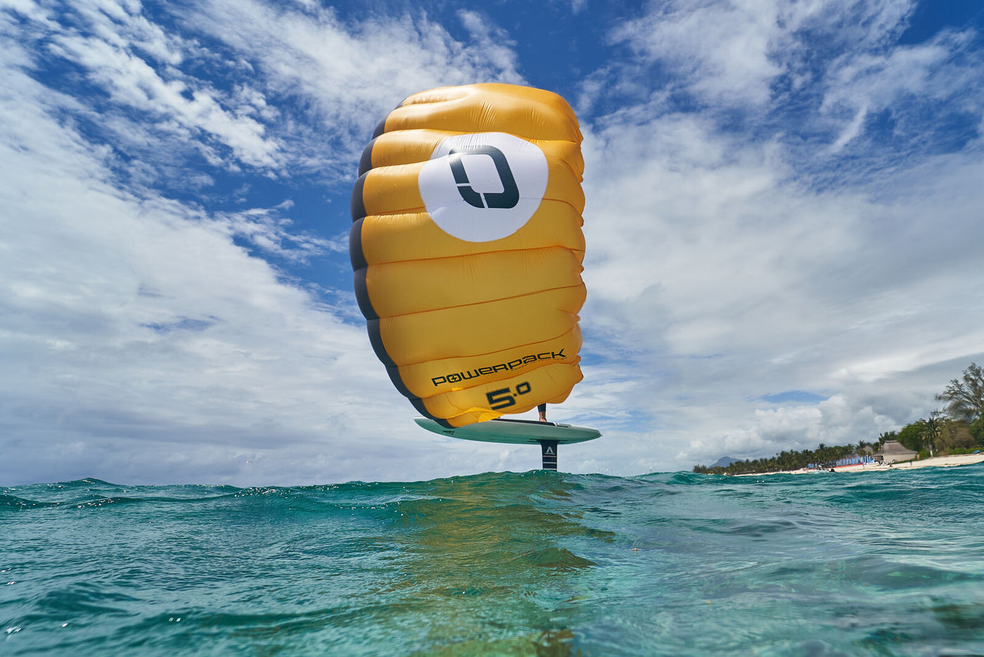 Ozone POWERPACK Parawing*